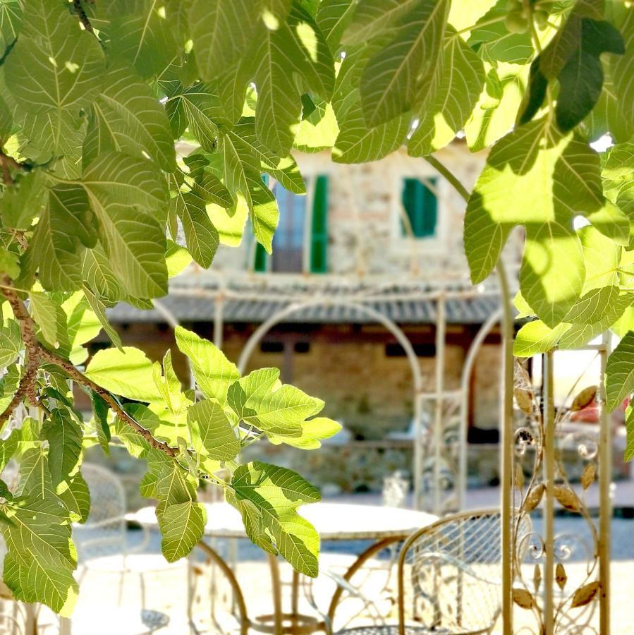 Fattoria Tolomei Campagnatico Zewnętrze zdjęcie