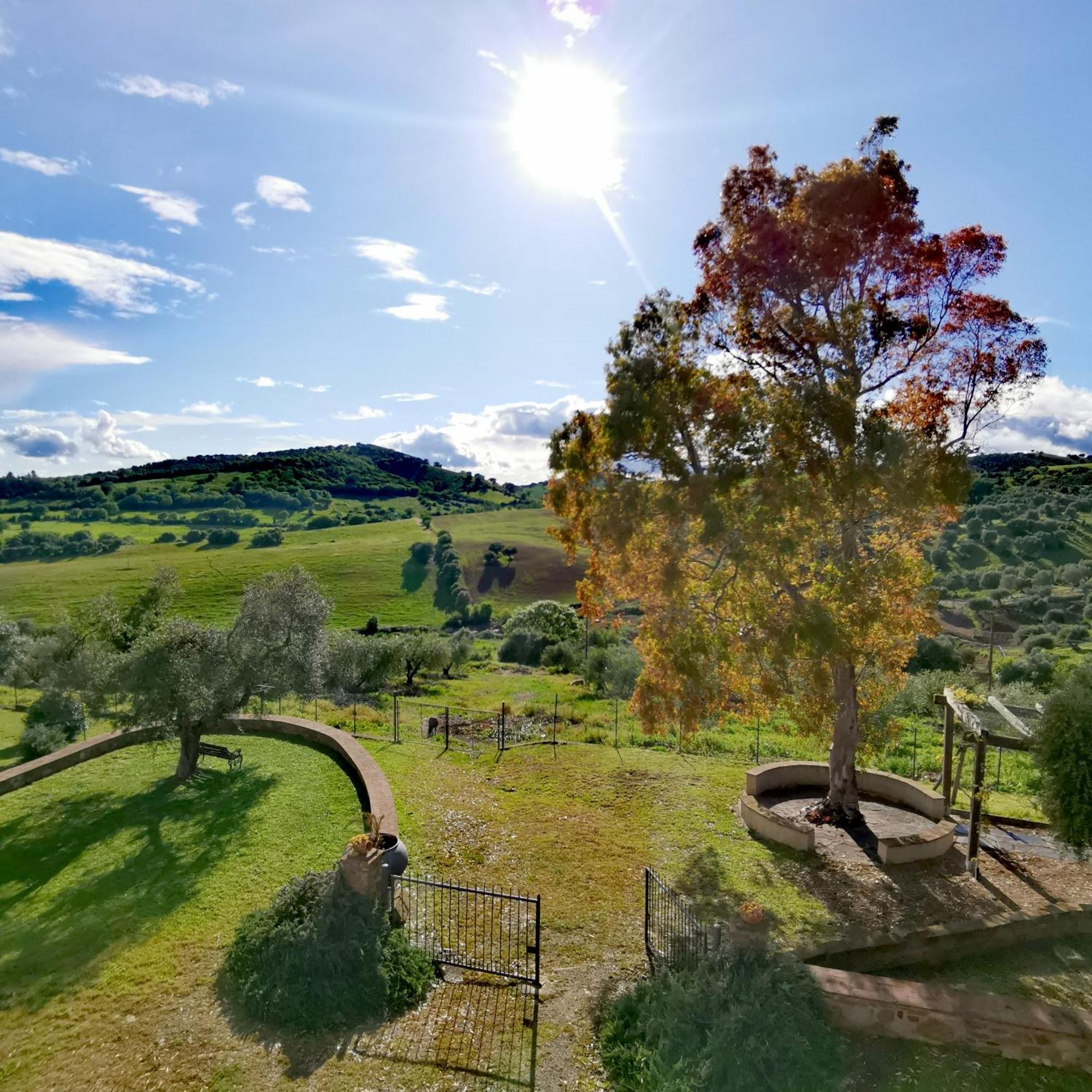 Fattoria Tolomei Campagnatico Zewnętrze zdjęcie