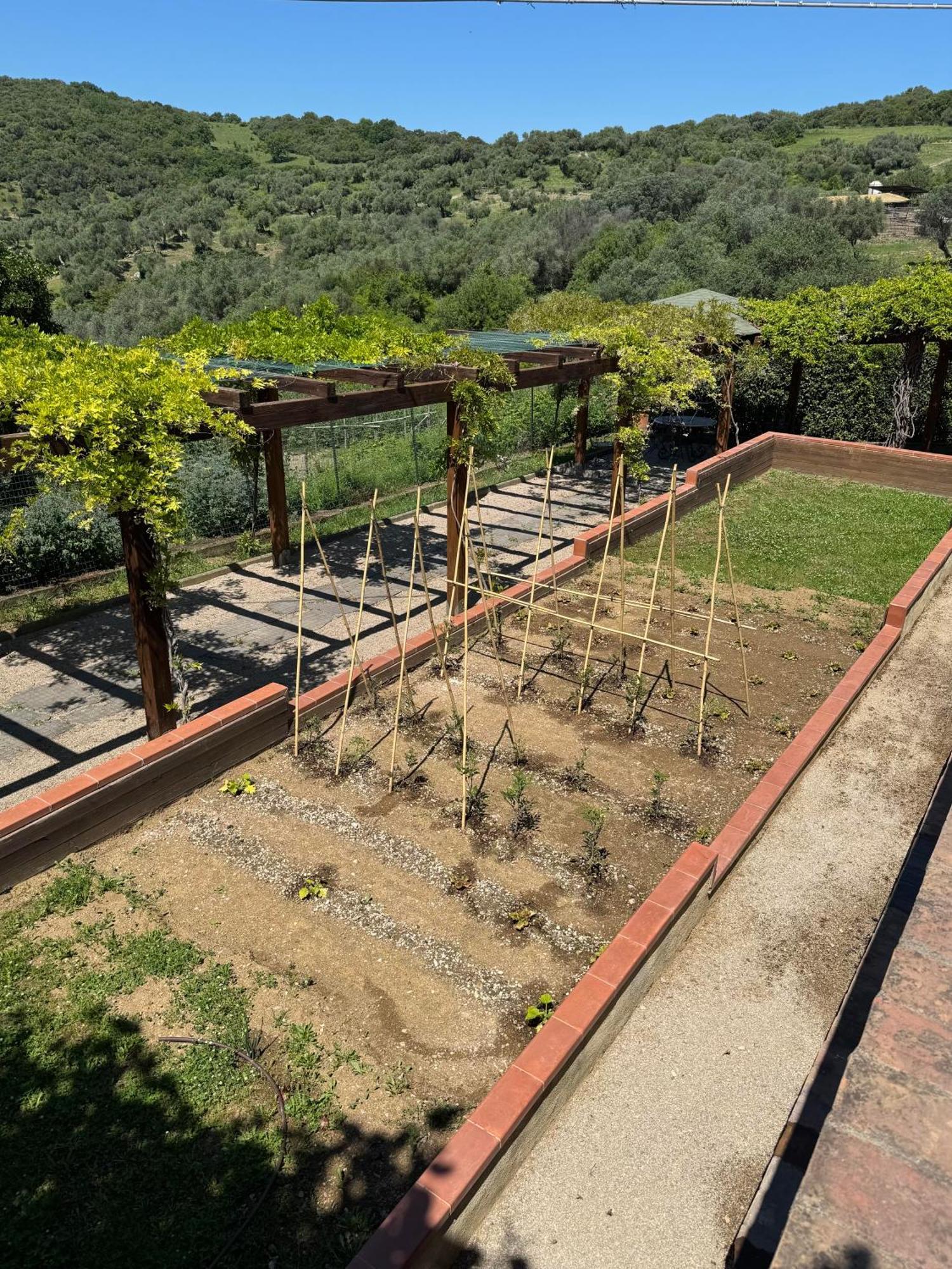 Fattoria Tolomei Campagnatico Zewnętrze zdjęcie